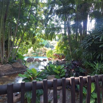 Discovery Cove - Amusement Parks Near Me - Orlando, Florida Discovery Cove - Amusement Parks Near Me - Orlando, Florida