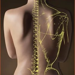 Forever Fit Chiropractic