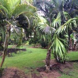 Hilo High School