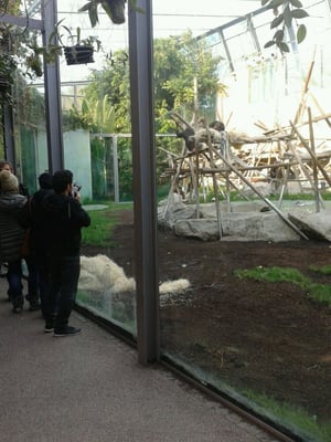 Hellabrunn Zoo by null