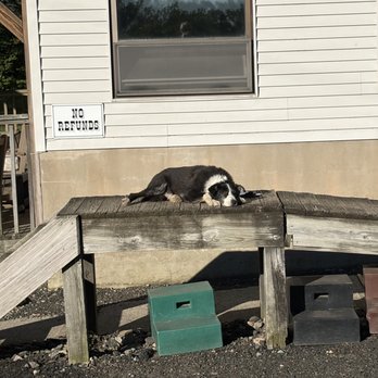 Echo Lake Stables - Nothing like a snooze at the end of a long day - Horseback Riding Near Me - Newfoundland, New Jersey Echo Lake Stables - Nothing like a snooze at the end of a long day - Horseback Riding Near Me - Newfoundland, New Jersey