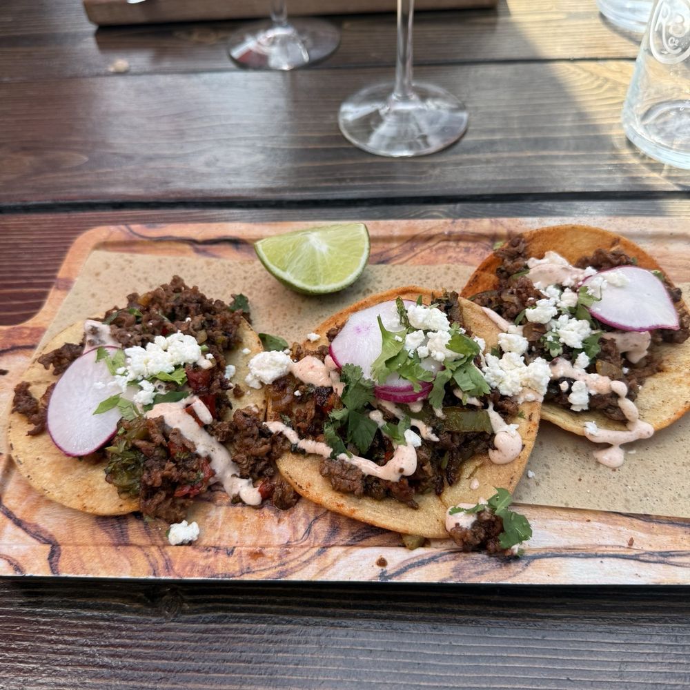 Venison Tostada