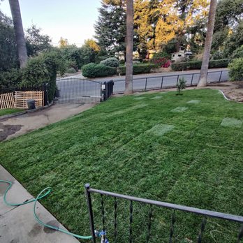 Zuniga Landscape - Getting the grass installed. - Landscaping Near Me Zuniga Landscape - Getting the grass installed. - Landscaping Near Me