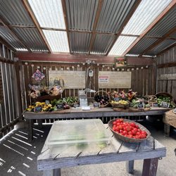 Little Wing Farm