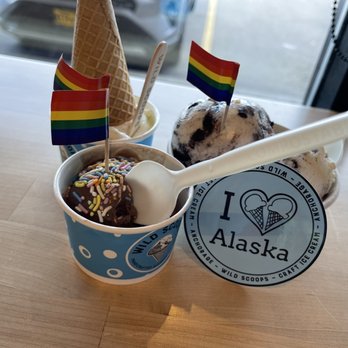 Wild Scoops - a cup of ice cream with a scoop of chocolate and sprinkles - Desserts Near Me - Anchorage, Alaska