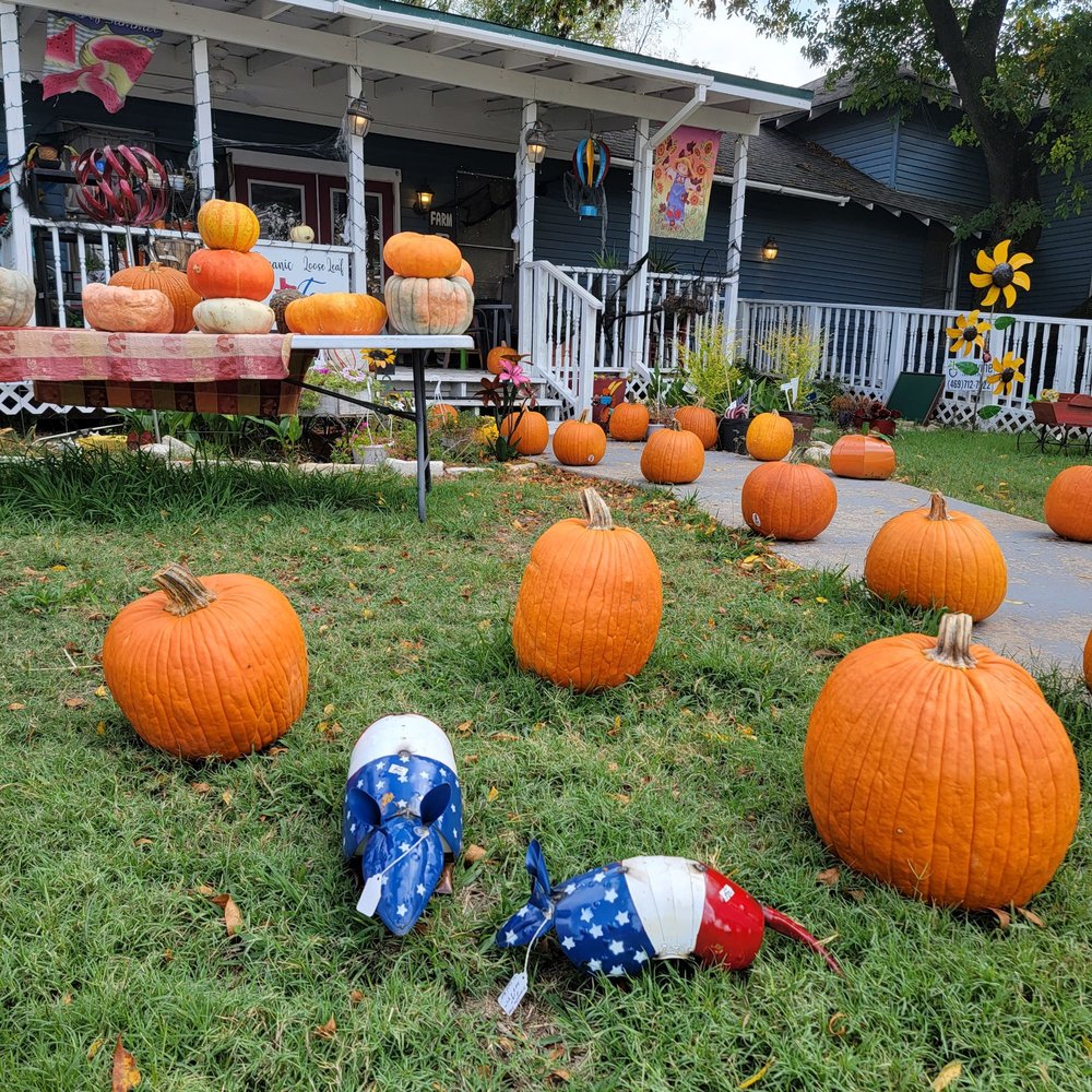 Chisholm Country Store - Tis the pumpkin season! Front porch is the Entrance to Store & Tom's Furniture Barn. - Cafes Near Me - Rockwall, Texas Chisholm Country Store - Tis the pumpkin season! Front porch is the Entrance to Store & Tom's Furniture Barn. - Cafes Near Me - Rockwall, Texas