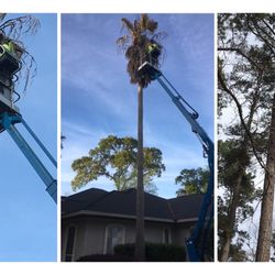 H Town Landscaping - Tree Service
