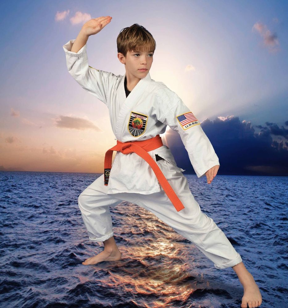 United Studios of Self Defense Logo