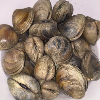 Seaview Crab Company - a bowl of clams - Seafood Markets Near Me - Cameron, North Carolina Seaview Crab Company - a bowl of clams - Seafood Markets Near Me - Cameron, North Carolina