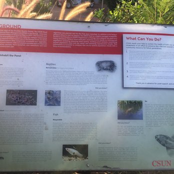 CSUN Pond - Located by the pond - Parks Near Me - Los Angeles, California CSUN Pond - Located by the pond - Parks Near Me - Los Angeles, California
