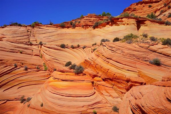 Best Western View of Lake Powell Hotel by null