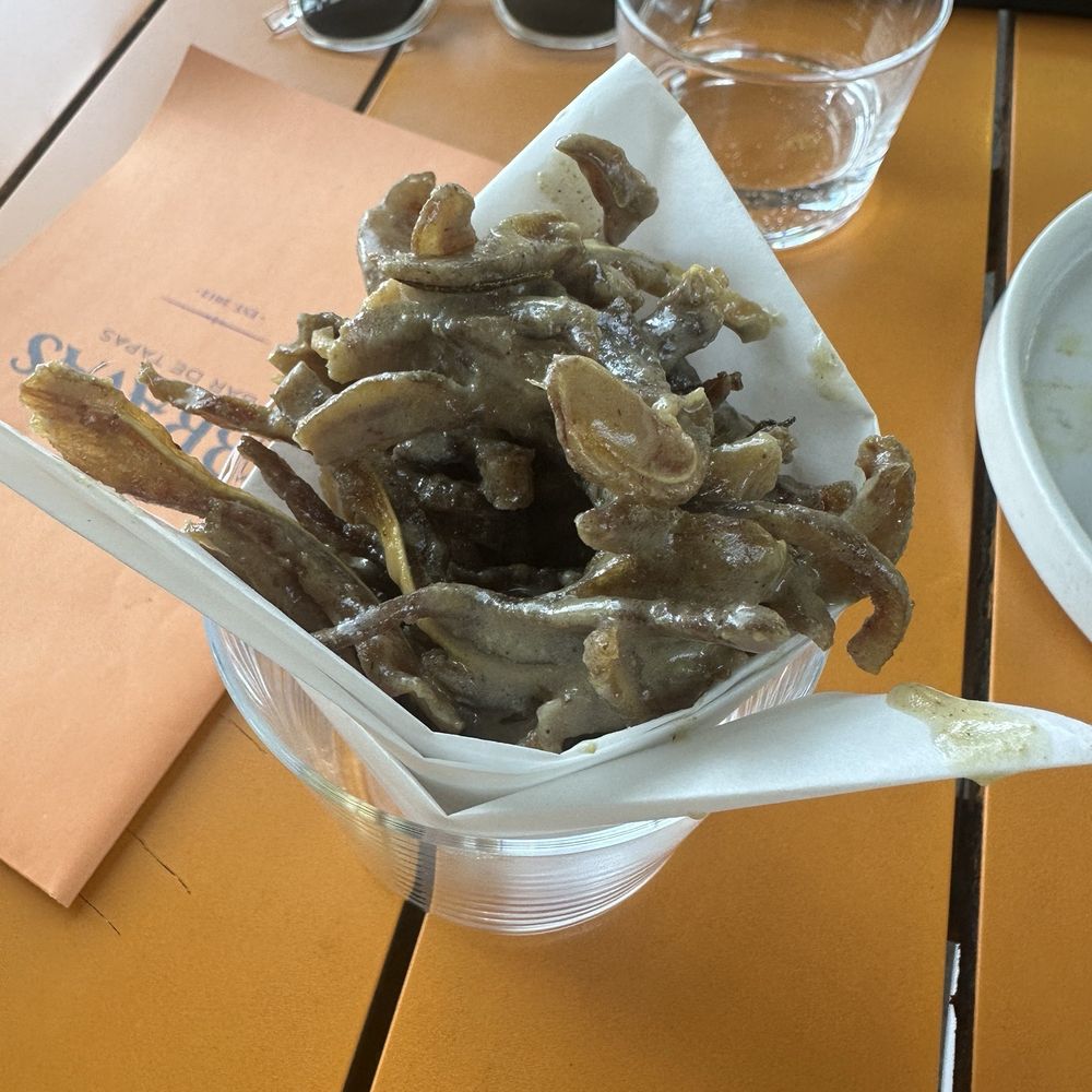 Bravas Bar de Tapas - Crispy Pig Ears, Anchovy Vinaigrette - Spanish Near Me - Healdsburg, California