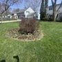Photo of Marshall's Lawn Service