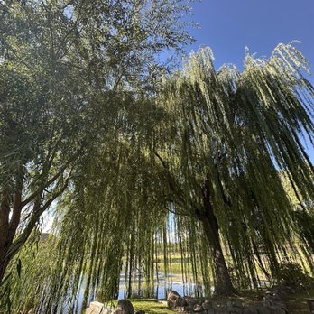 DA Ranch - Wineries Near Me - Cornville, Arizona DA Ranch - Wineries Near Me - Cornville, Arizona