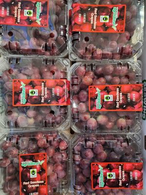 Costco Wholesale by null