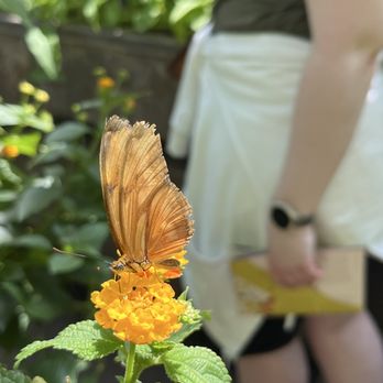 De Hortus Botanicus - Venues & Event Spaces Near Me - Amsterdam, New Hampshire De Hortus Botanicus - Venues & Event Spaces Near Me - Amsterdam, New Hampshire