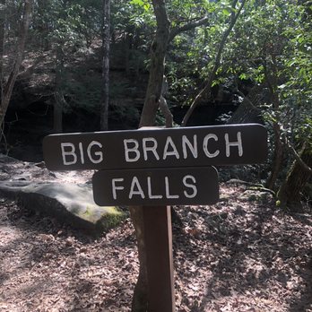 Virgin Falls State Natural Area - Hiking Near Me - Sparta, Tennessee Virgin Falls State Natural Area - Hiking Near Me - Sparta, Tennessee