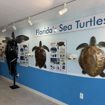 The Turtle Hospital - Lobby - Veterinarians Near Me - Marathon, Florida