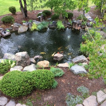 Professional Ponds - a pond surrounded by rocks and trees - Landscaping Near Me - Parker, Colorado Professional Ponds - a pond surrounded by rocks and trees - Landscaping Near Me - Parker, Colorado