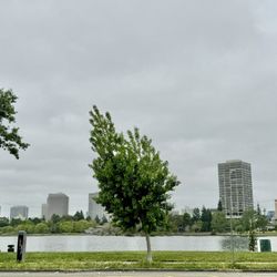Lake Merritt - Looking east