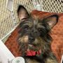 Photo of Jackson County Animal Shelter