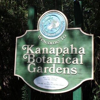 Now Or Never Notary - Kanapaha Botanical Gardens in Gainesville. A beautiful day trip location! - Notaries Near Me Now Or Never Notary - Kanapaha Botanical Gardens in Gainesville. A beautiful day trip location! - Notaries Near Me