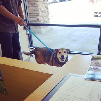 Petco - Happy Petco Customer after her salon appt. Soft, clean, shiny, and perfumed. - Pet Stores Near Me - Bell Gardens, California