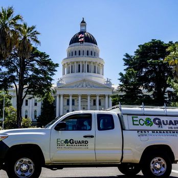 EcoGuard Pest Management - Pest Control Near Me - Folsom, California EcoGuard Pest Management - Pest Control Near Me - Folsom, California