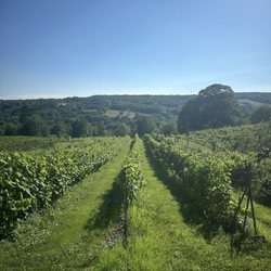 bear river vineyards - Winery