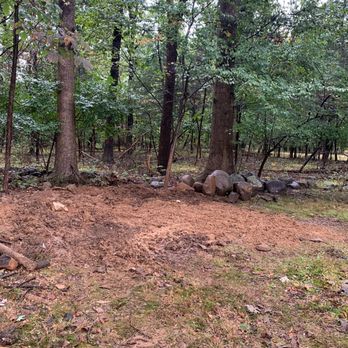 Ace Gallagher Stump Grinding - I should have done this months ago. - Tree Services Near Me