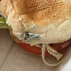 Firehouse Subs - Mold on Bread