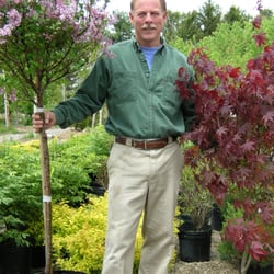 Powell Nursery & Landscape Design - 100's of Trees & Shrubs