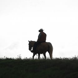 Waimea Midweek Farmers Market - Billy heading home from the Waimea Midweek Farmers Market.
photo - Botticelli Design