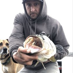 KDB Bass Fishing Guide Service
