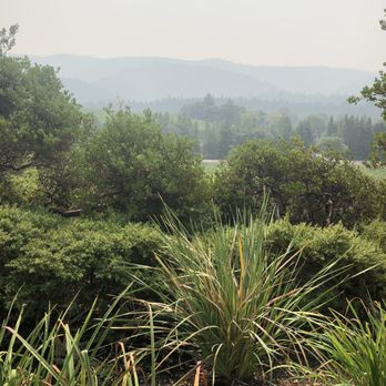 Roederer Estate - Wineries Near Me - Philo, California