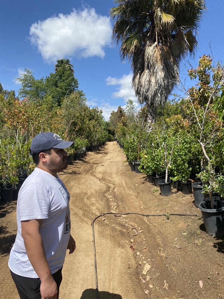 HALLS PLANT NURSERY 57 Photos & 40 Reviews 46385 Camaron Rd