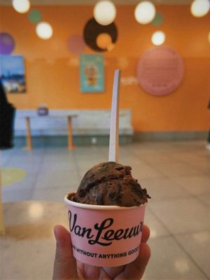 Van Leeuwen Ice Cream by null