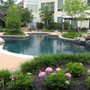 Photo of Land Pool Restoration