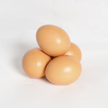 Good Food Collective - Pasture Raised Organic Eggs - Farmers Market Near Me Good Food Collective - Pasture Raised Organic Eggs - Farmers Market Near Me