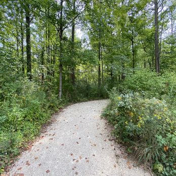 Central Park East Woods - Hiking Near Me - Carmel, Indiana
