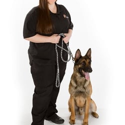 Dog Inspectors