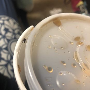 Taco Bueno - Bug stuck in cup - Mexican Near Me - Fort Worth, Texas Taco Bueno - Bug stuck in cup - Mexican Near Me - Fort Worth, Texas