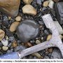 Photo of Robin Hoods Bay Interesting Stuff