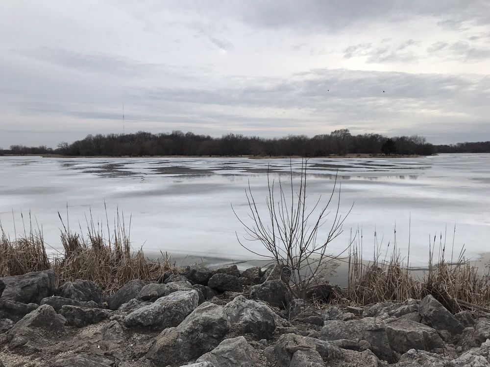 BUSSE WOODS 231 Photos & 57 Reviews Hiking E Higgins Rd Arlington