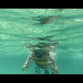 Jungle Tour Adventure Cancun - Snorkeling Near Me - Cancún, ROO Jungle Tour Adventure Cancun - Snorkeling Near Me - Cancún, ROO