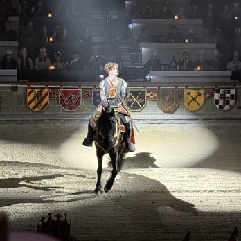 Medieval Times Dinner & Tournament - I loved seeing the cast give the horses pets and nuzzles throughout the show. It seemed they really cared about the animals. - Arts & Entertainment Near Me - Hanover, Maryland