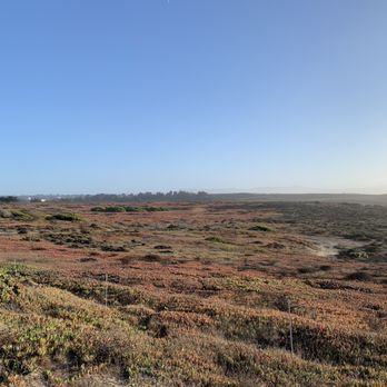 Fort Ord Dunes State Park - Beaches Near Me - Marina, California Fort Ord Dunes State Park - Beaches Near Me - Marina, California