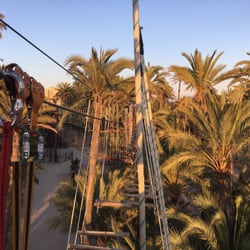 Elche Palmeral Aventuras