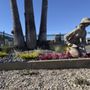 Photo of Armstrong Garden Centers