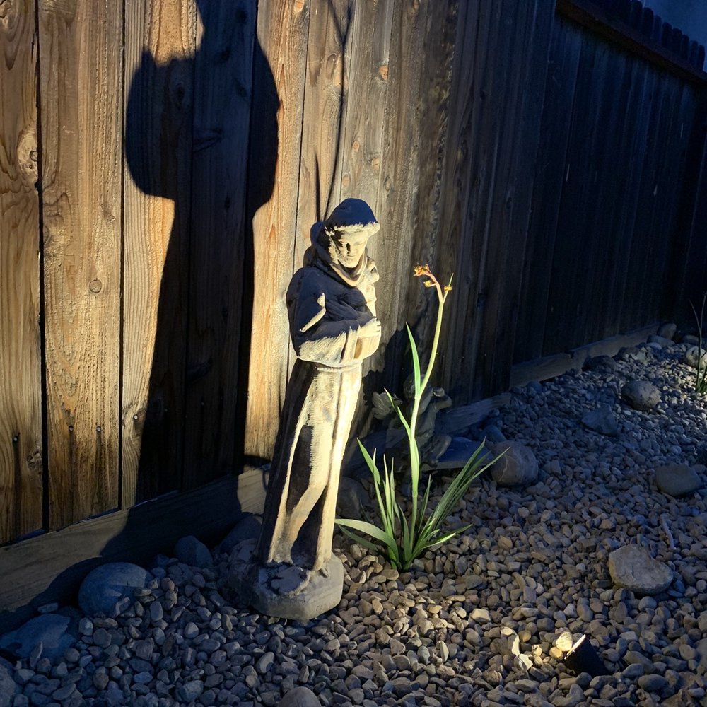 Zoe Landscaping - Backyard landscaping - Landscape Architects or Designers Near Me